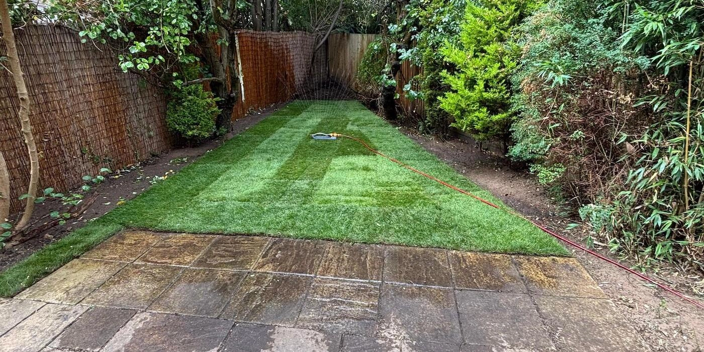 dulwich london garden after tidy and complete makeover