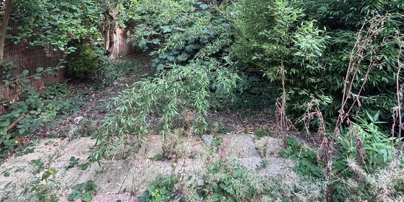 dulwich london garden before tidy and makeover began