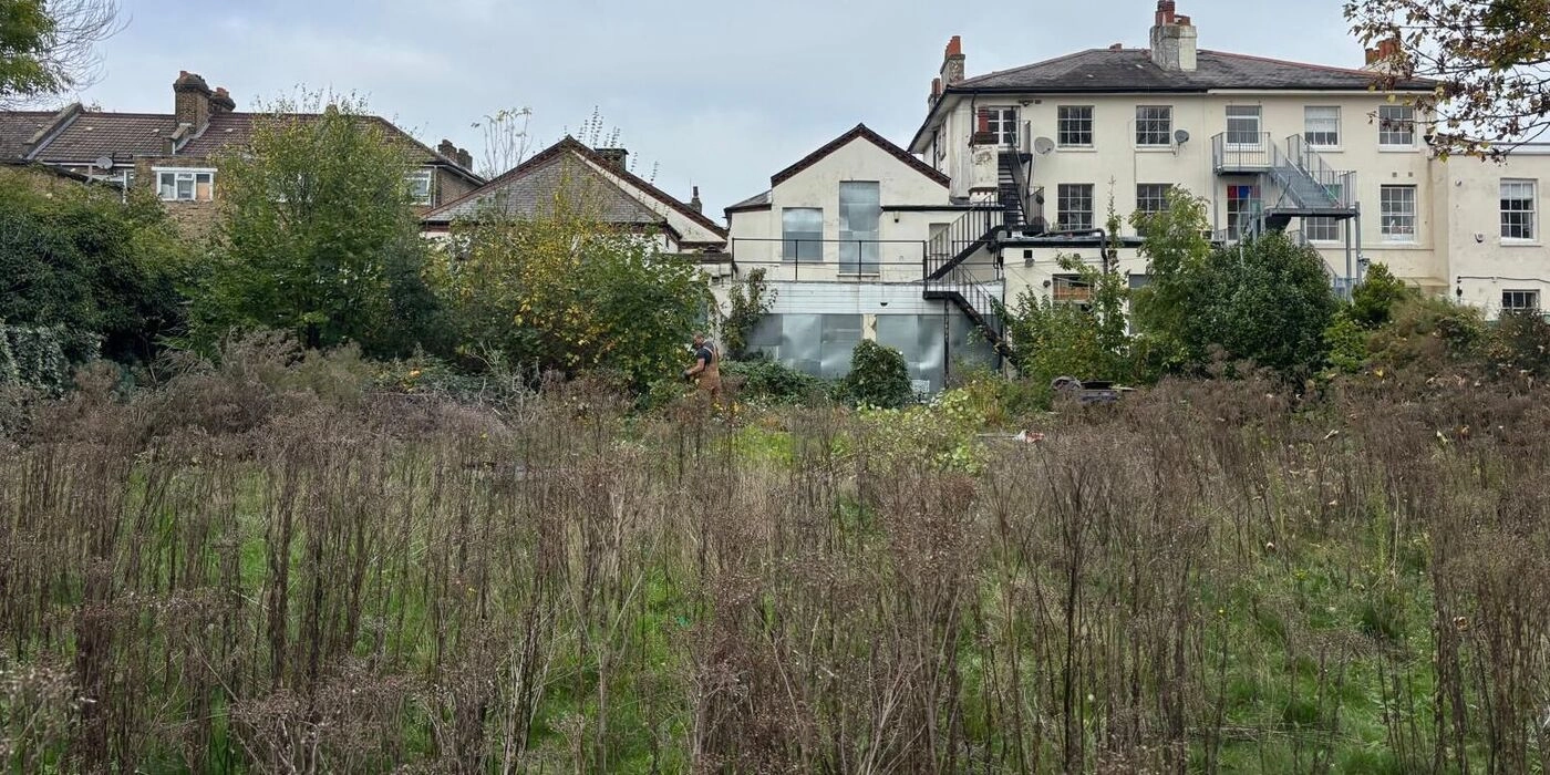 london garden before tidy began