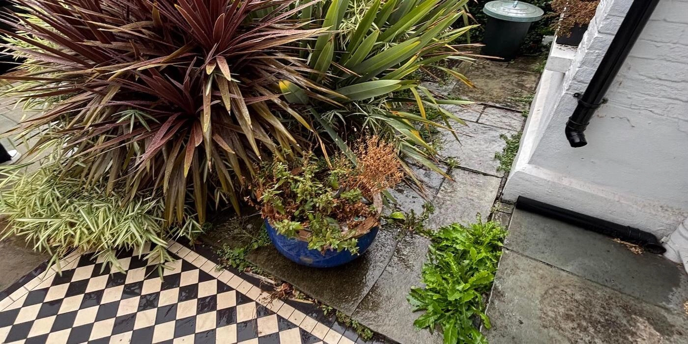 putney in south west london front garden before tidy and restyle began