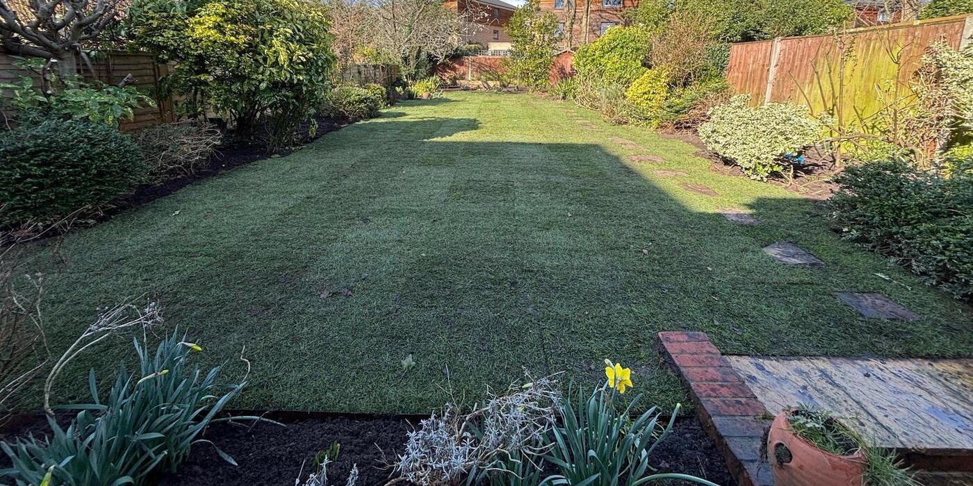 wandsworth london garden after tidy and makeover complete