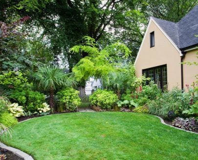 winter scented plants