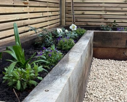 plants for London gardens